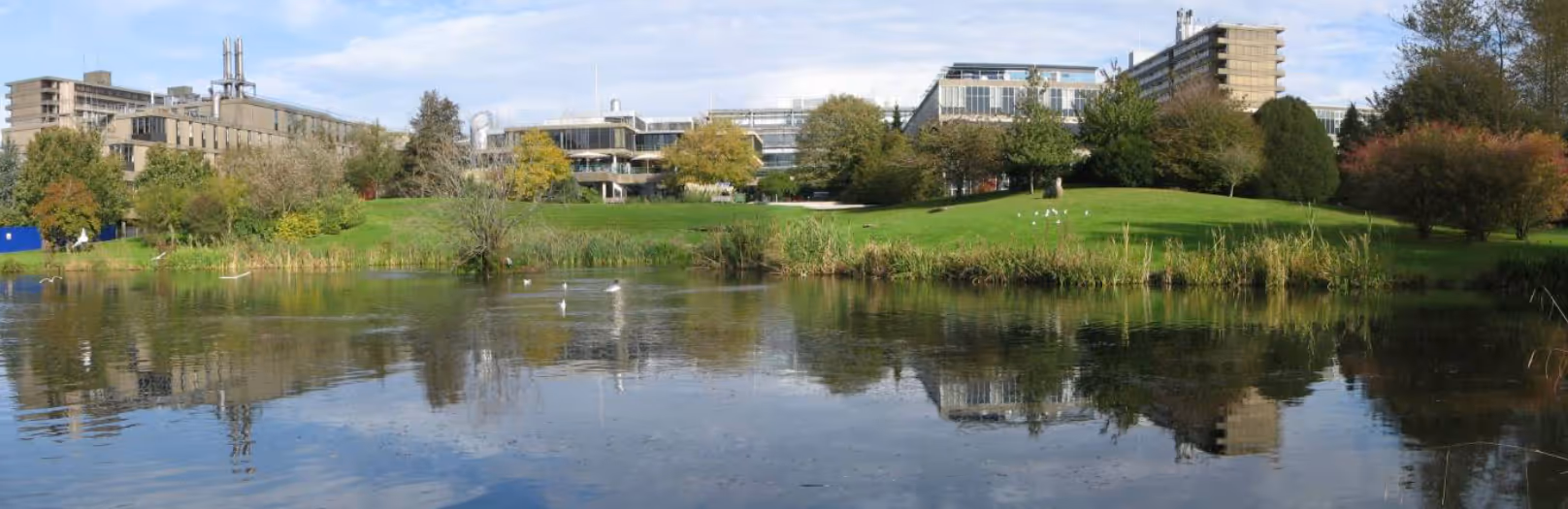 University of Bath